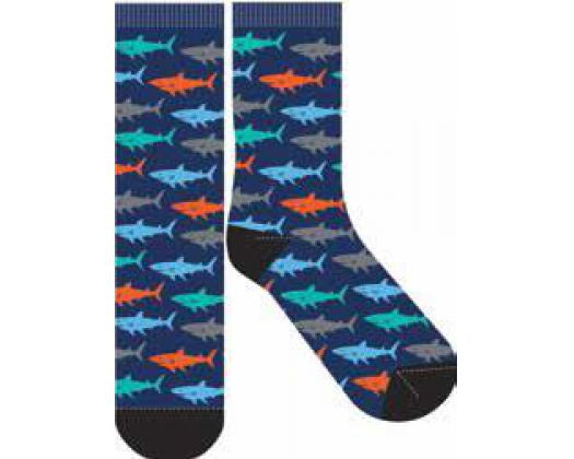 Sharks Novelty Socks