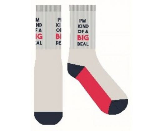 Big Deal Novelty Socks