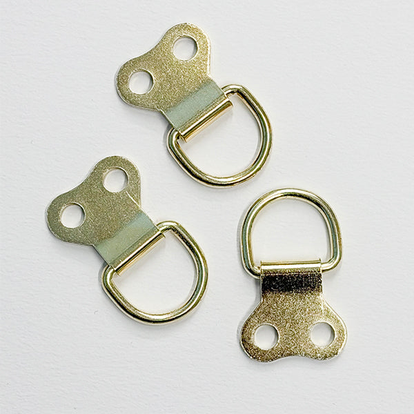 Large D Ring with Screws