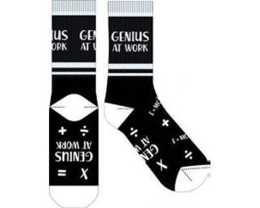 Genius Novelty Socks