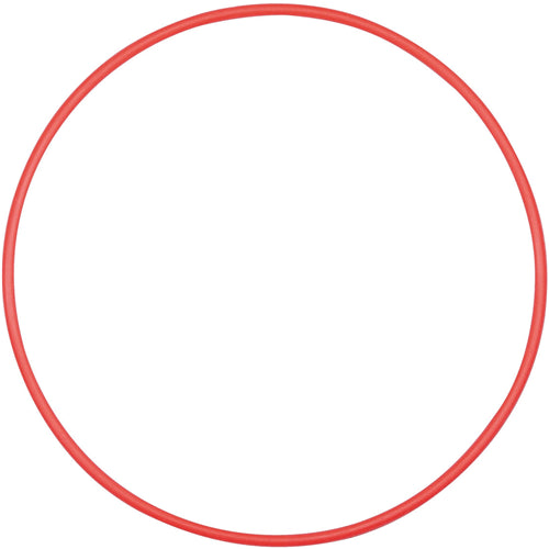 Olympus POL-058 O-Ring for PT-058