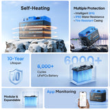 Bluetti 12 V 100 A Lithium Battery