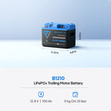 Bluetti 12 V 100 A Lithium Battery