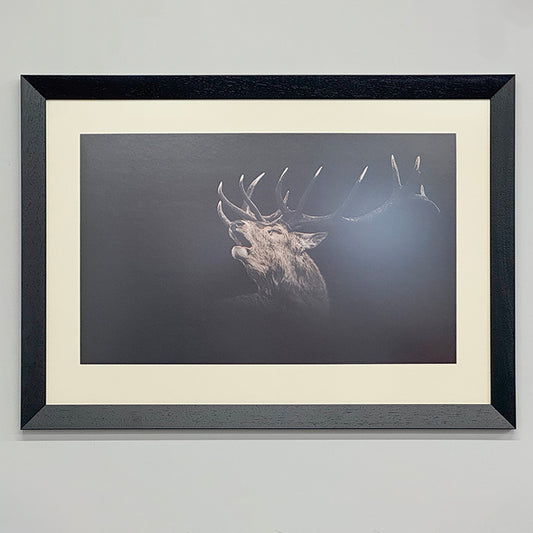 Roaring Stag, Custom Framed Wall Art by Gavin Martin