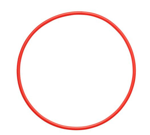 Olympus POL-058 O-Ring for PT-058