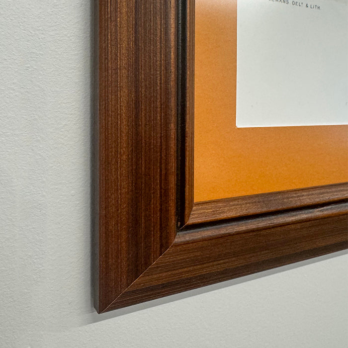 Takahē, Custom Framed Wall Art