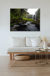Canvas Print -